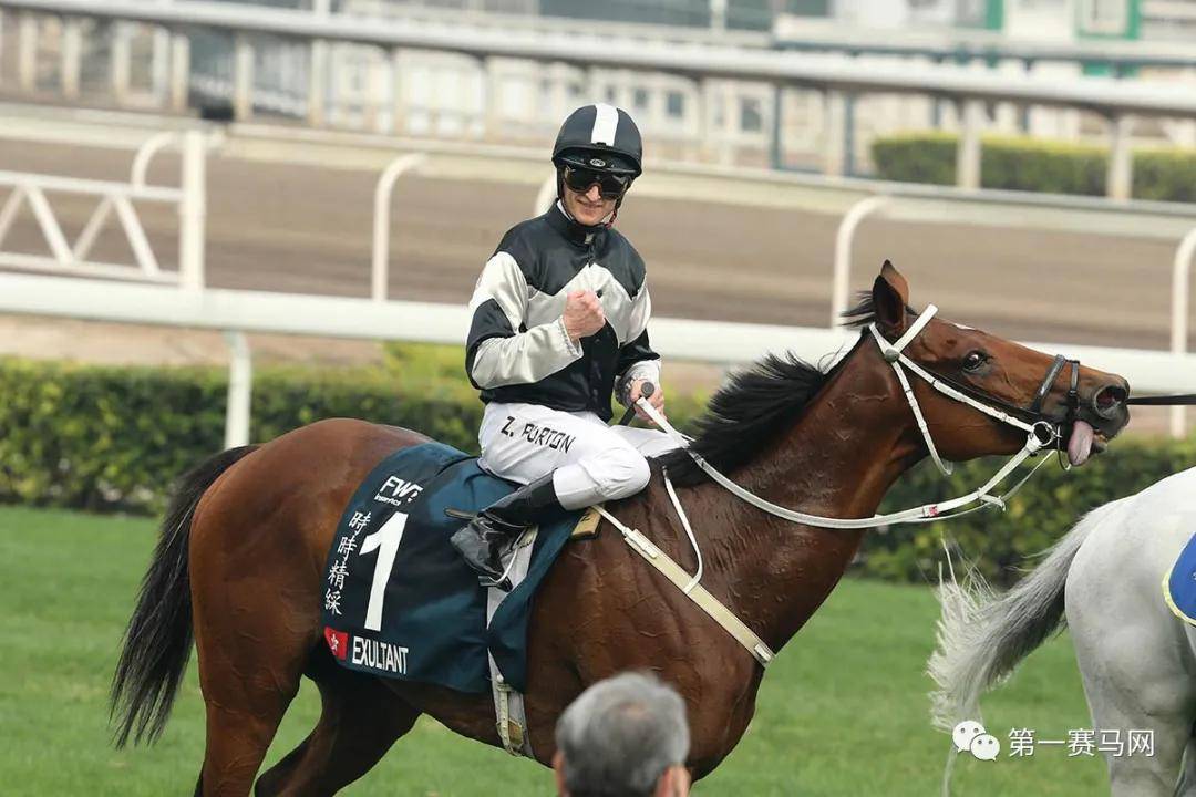 香港馬會，香港馬會賽馬活動盛況