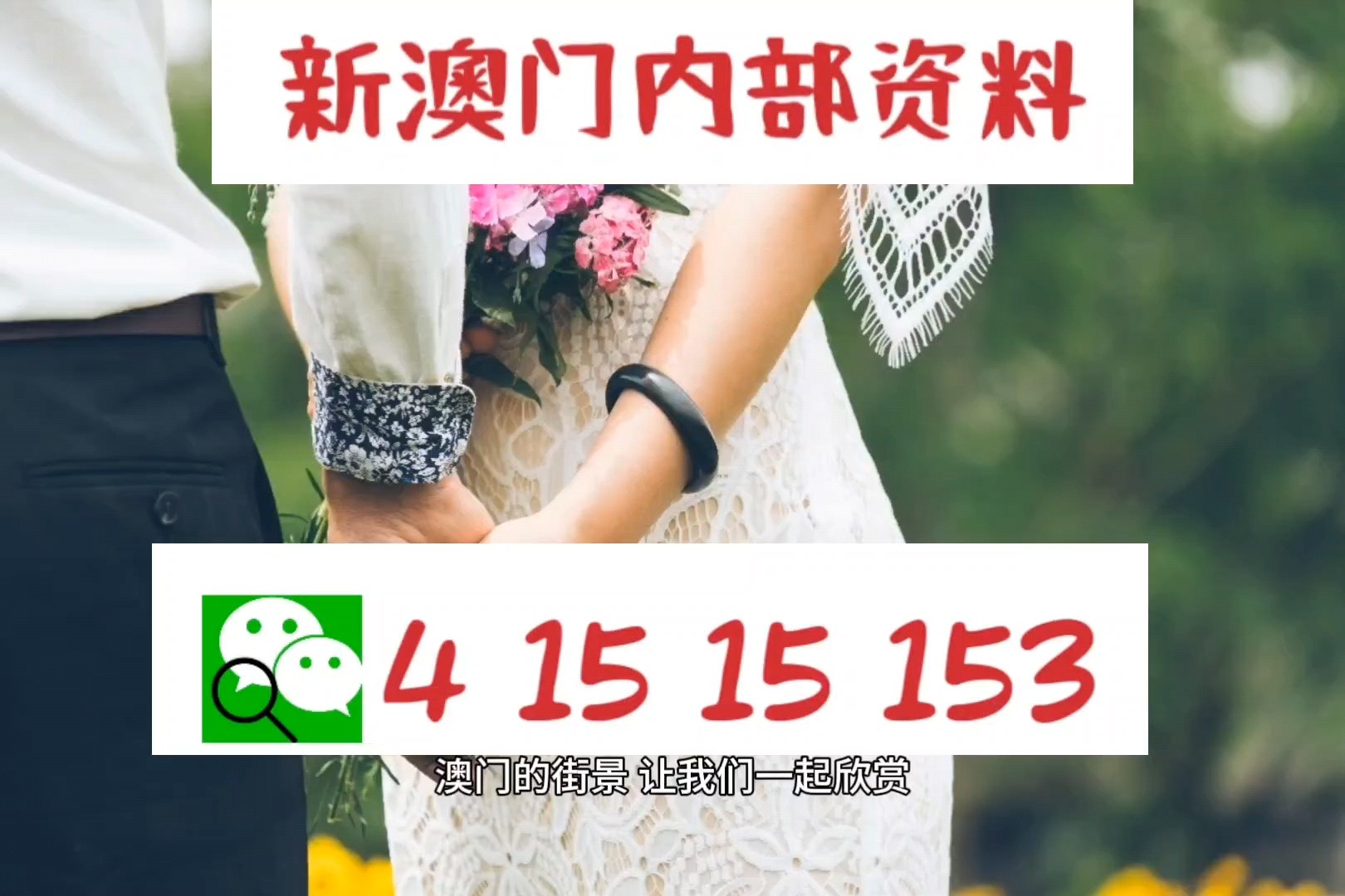 2025新澳精準資料大揭秘，免費提供的資源與未來展望，揭秘2025新澳精準資料，免費資源展望未來發(fā)展