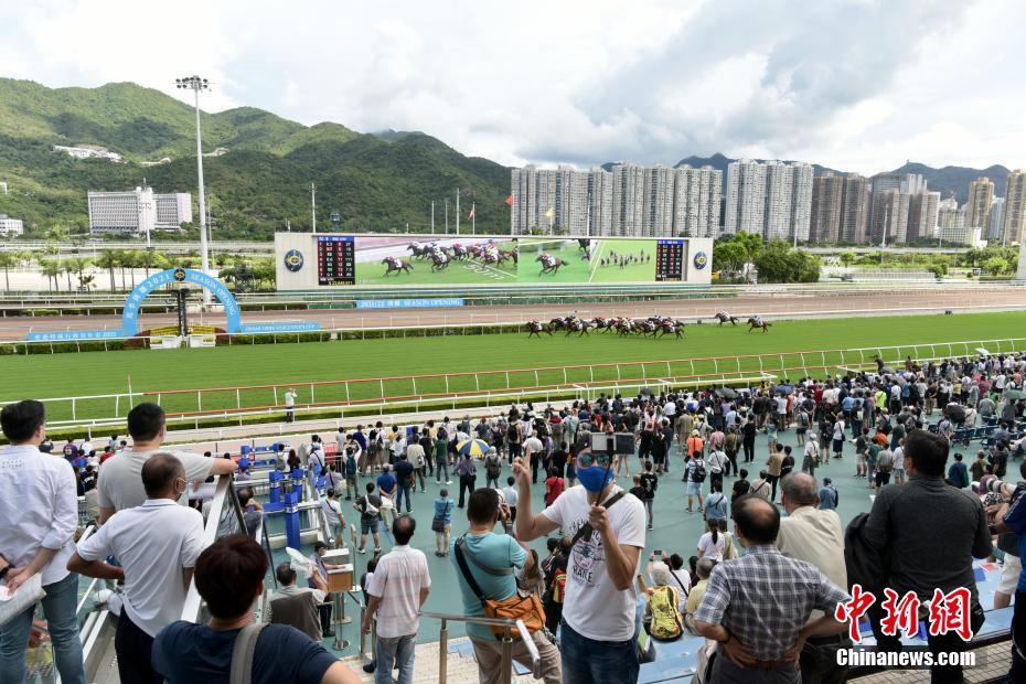 揭秘香港今晚特馬開什么，熱門語言解讀彩票奧秘，香港今晚特馬揭秘，彩票奧秘與熱門語言解讀