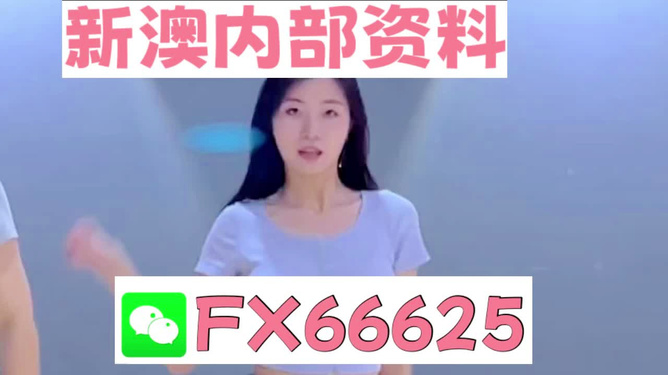 新澳門精準(zhǔn)資料大全管家婆料，澳門精準(zhǔn)資料大全，管家婆料全解析