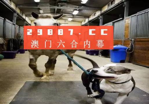 澳門一肖一碼一必中，同舟共濟(jì)向前行，澳門一肖一碼必中，同舟共濟(jì)向前行