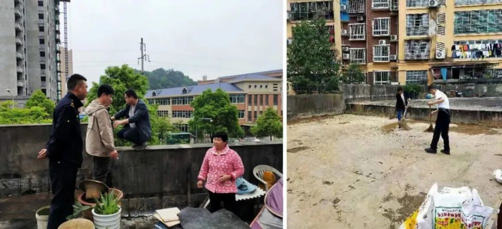 2025年今晚開是哪個生肖,最新熱門解答落實_36