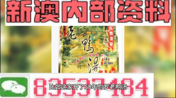新澳正版資料與內(nèi)部資料深度解析，新澳正版資料與內(nèi)部資料深度剖析