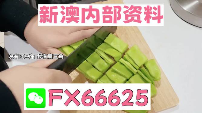新澳準(zhǔn)資料大放送，免費(fèi)獲取優(yōu)質(zhì)資源指南，新澳準(zhǔn)資料大放送，免費(fèi)優(yōu)質(zhì)資源指南