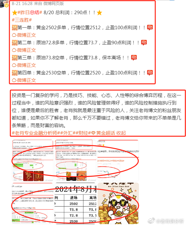 澳門管家婆100%精準(zhǔn),收益成語(yǔ)分析定義_17