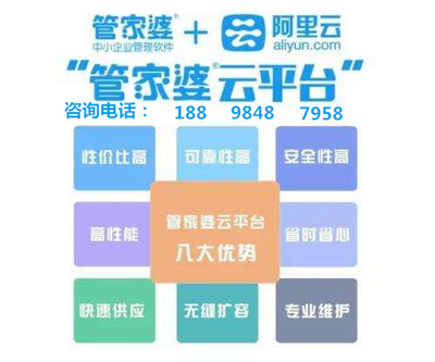 澳門管家婆，澳門管家婆，揭秘管理與服務(wù)的藝術(shù)