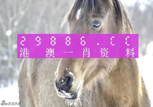 澳門一肖一碼百分百精準預測——揭秘彩票背后的秘密，澳門彩票預測揭秘，一肖一碼百分百精準背后的秘密