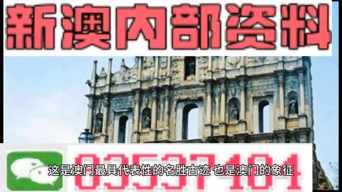 新澳門正版免費(fèi)資料怎么查，澳門正版免費(fèi)資料查詢指南