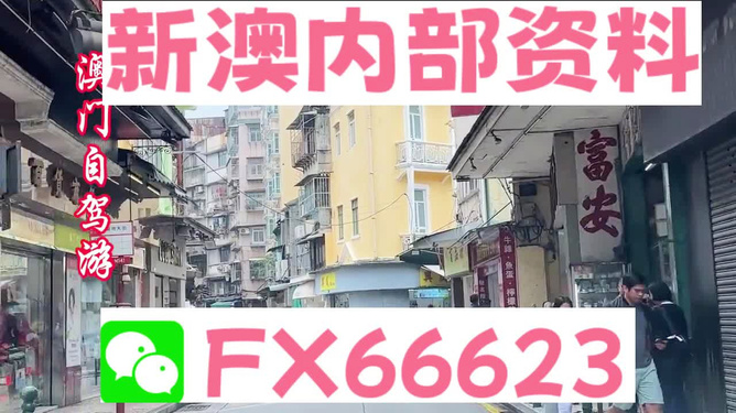 新澳精選資料免費(fèi)提供，助力學(xué)習(xí)成長，新澳精選資料助力學(xué)習(xí)成長之路