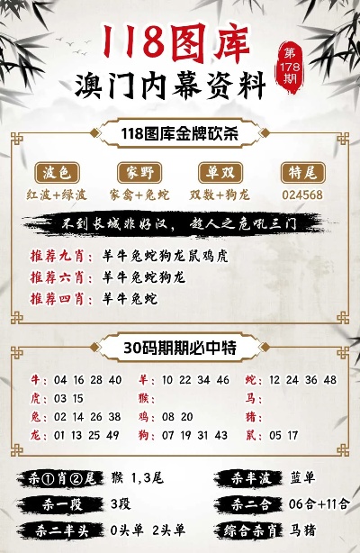探索未來，澳門精準正版資料新版的魅力，探索未來，澳門精準正版資料新版的獨特魅力