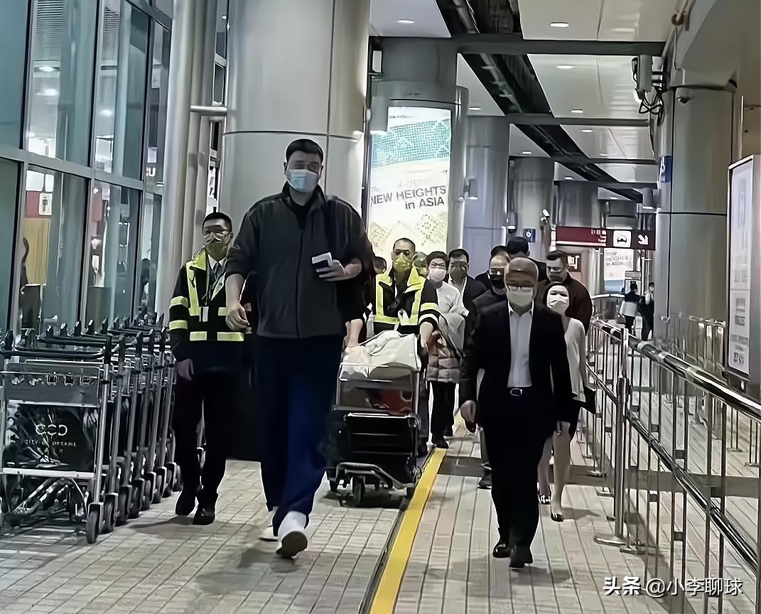 今晚澳門開一肖四不像圖片，揭秘背后的神秘面紗，揭秘澳門今晚開一肖四不像圖片背后的神秘面紗