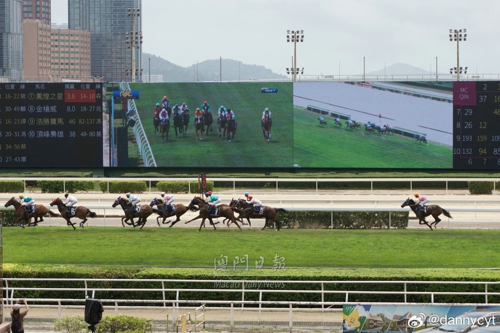 2025新澳門今晚開特馬直播，探索前沿的娛樂新風尚，探索前沿娛樂風尚，2025新澳門特馬直播今晚開啟