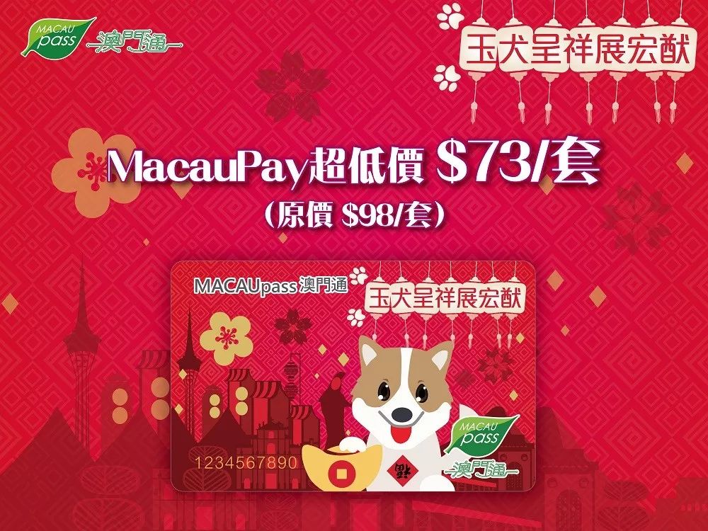澳門正版資料大全資料生肖卡，澳門正版資料大全，生肖卡全收錄
