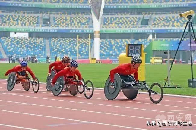 2025新澳門正版免費資本車，澳門正版免費資本車，未來趨勢與機遇