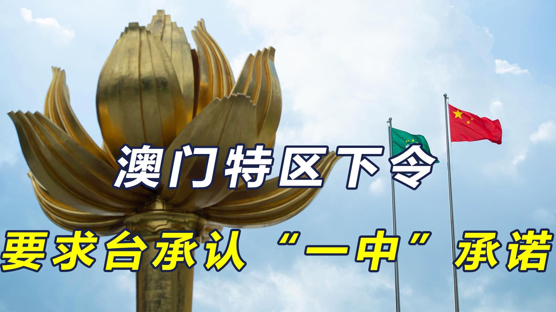 澳門一碼一肖一待一中今晚，澳門今晚一碼一肖一待一中揭曉