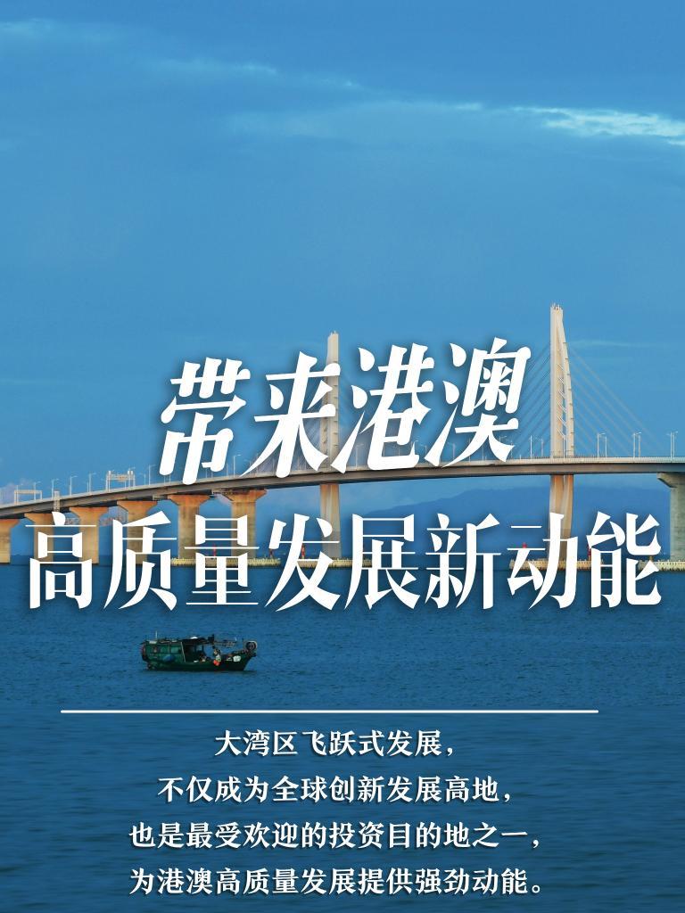 2025新澳門精準免費大全，澳門最新精準免費資料大全（2025版）