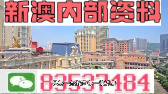 新澳門最精準正最精準龍門，探索與解讀，新澳門最精準正龍門，深度解讀與探索