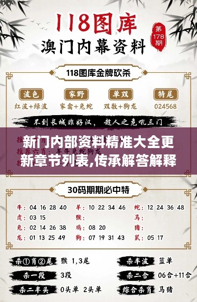 新門內(nèi)部資料精準大全更新功能介紹，新門內(nèi)部資料精準大全，最新功能介紹與更新詳解