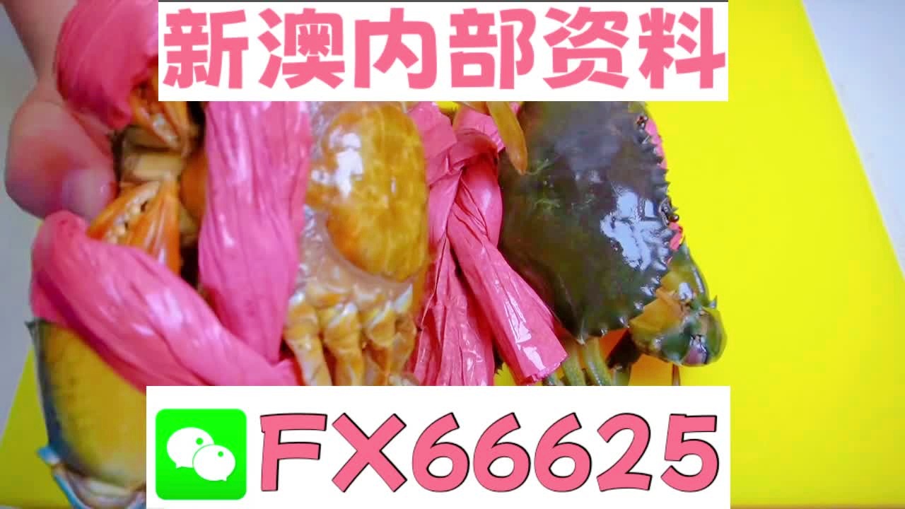 揭秘2025新澳精準(zhǔn)資料大全，深度解讀與概述，揭秘2025新澳精準(zhǔn)資料大全，深度解讀與全面概述