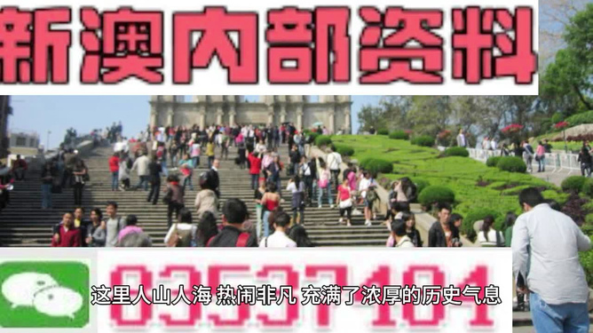 澳門最精準(zhǔn)免費(fèi)資料大全旅游團(tuán)，一站式解鎖澳門之旅，澳門旅游團(tuán)一站式攻略，精準(zhǔn)免費(fèi)資料大全，解鎖澳門之旅