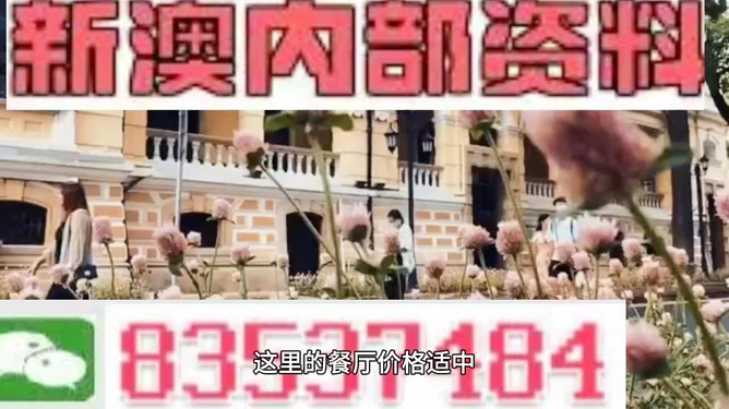 澳門最精準(zhǔn)免費資料大全旅游團(tuán)——探索澳門魅力的絕佳選擇，澳門旅游團(tuán)，探索澳門魅力的精準(zhǔn)免費資料大全