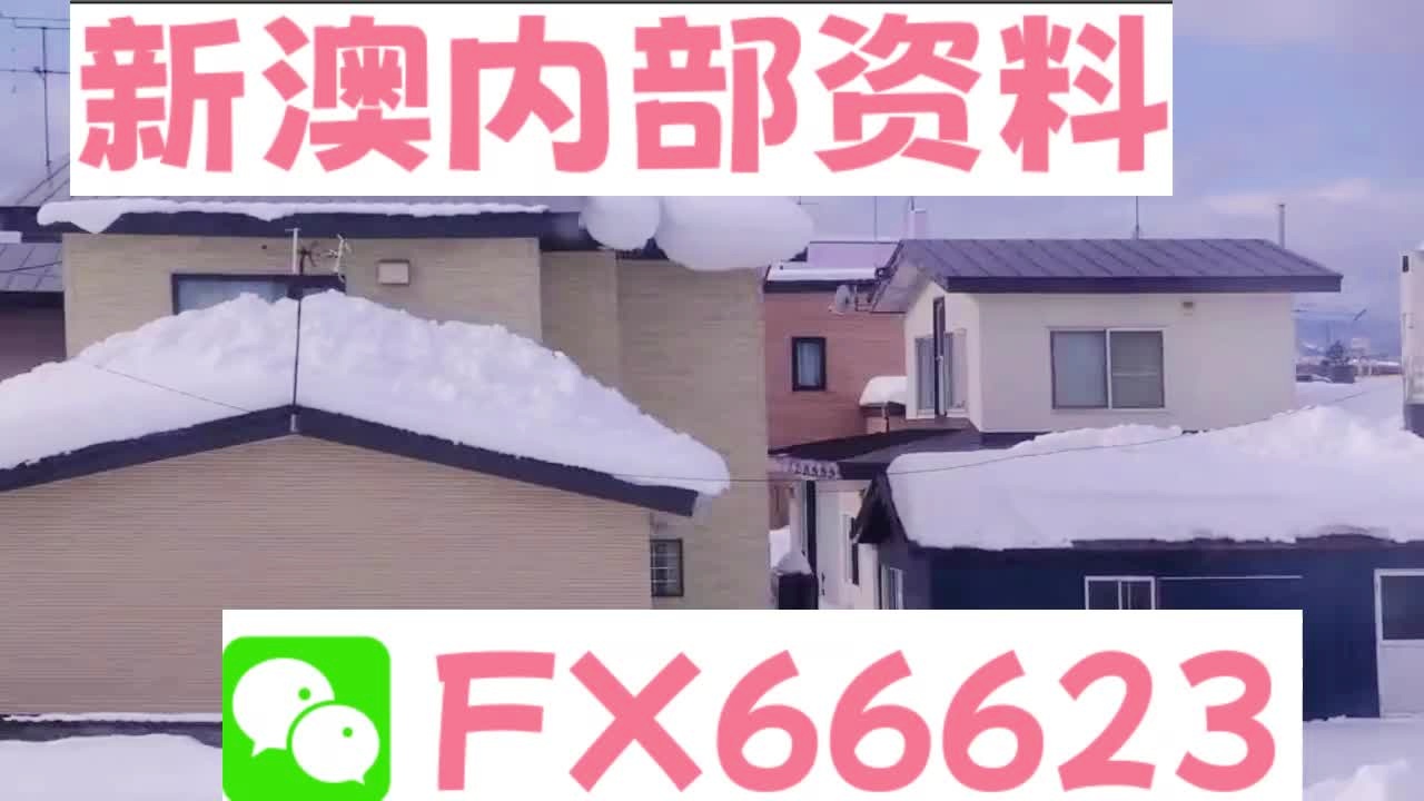 揭秘2025新澳精準(zhǔn)資料大全，深度解析與應(yīng)用，揭秘2025新澳精準(zhǔn)資料大全，深度解析與實(shí)戰(zhàn)應(yīng)用指南